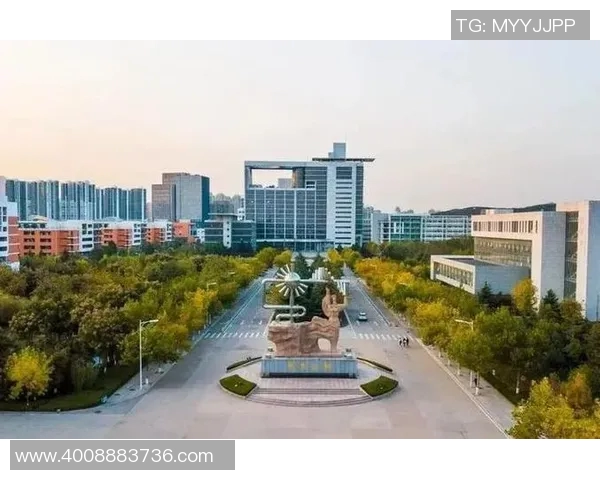 汉族足球明星的崛起与成就全景解析及排名榜单展示